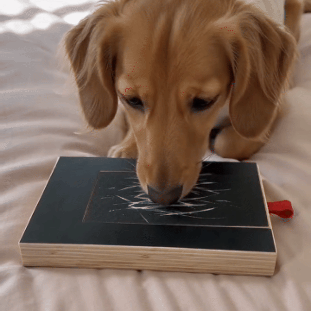 Interactive Dog Nail Scratching Board