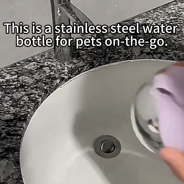 Stainless Steel Portable Pet Water Bottle | Water for Your Pet Anytime