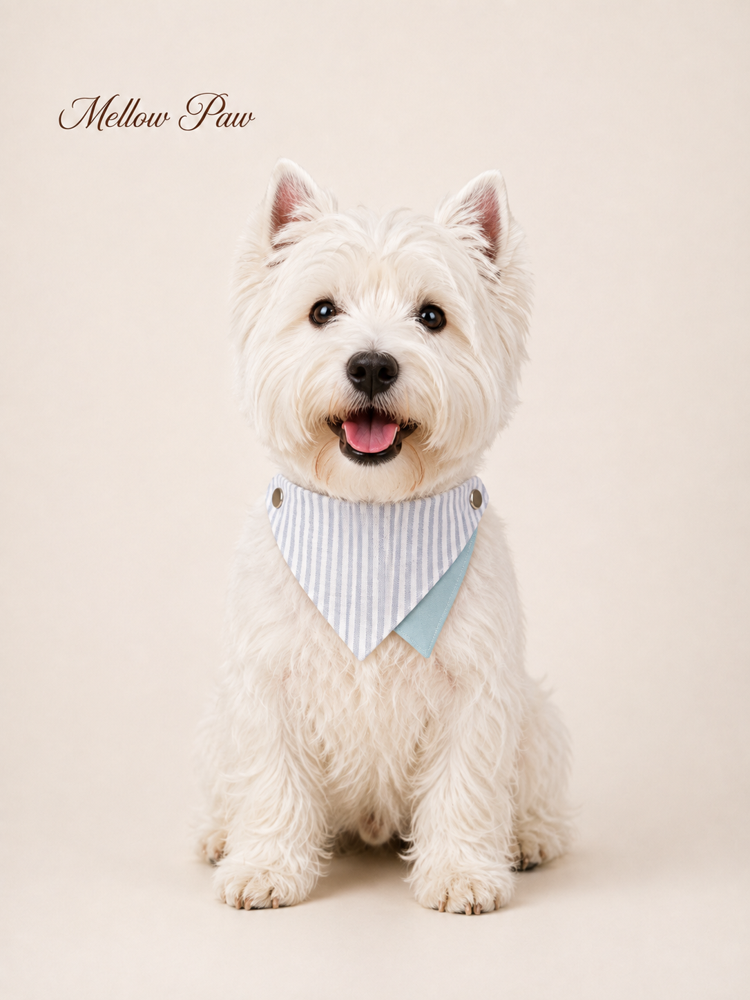 Sea Mist Stripe Bandana
