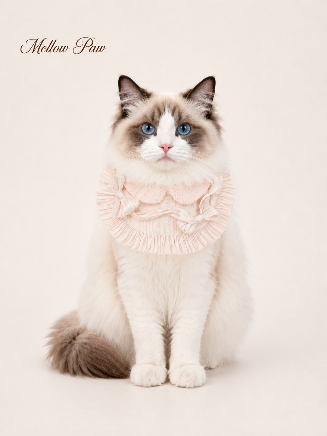 Rosewater Lace Bib