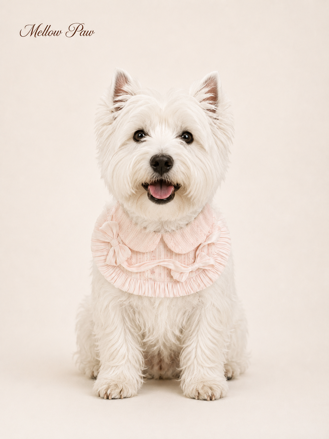 Rosewater Lace Bib