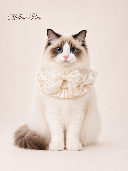 Buttercream Bow Ruffle Collar