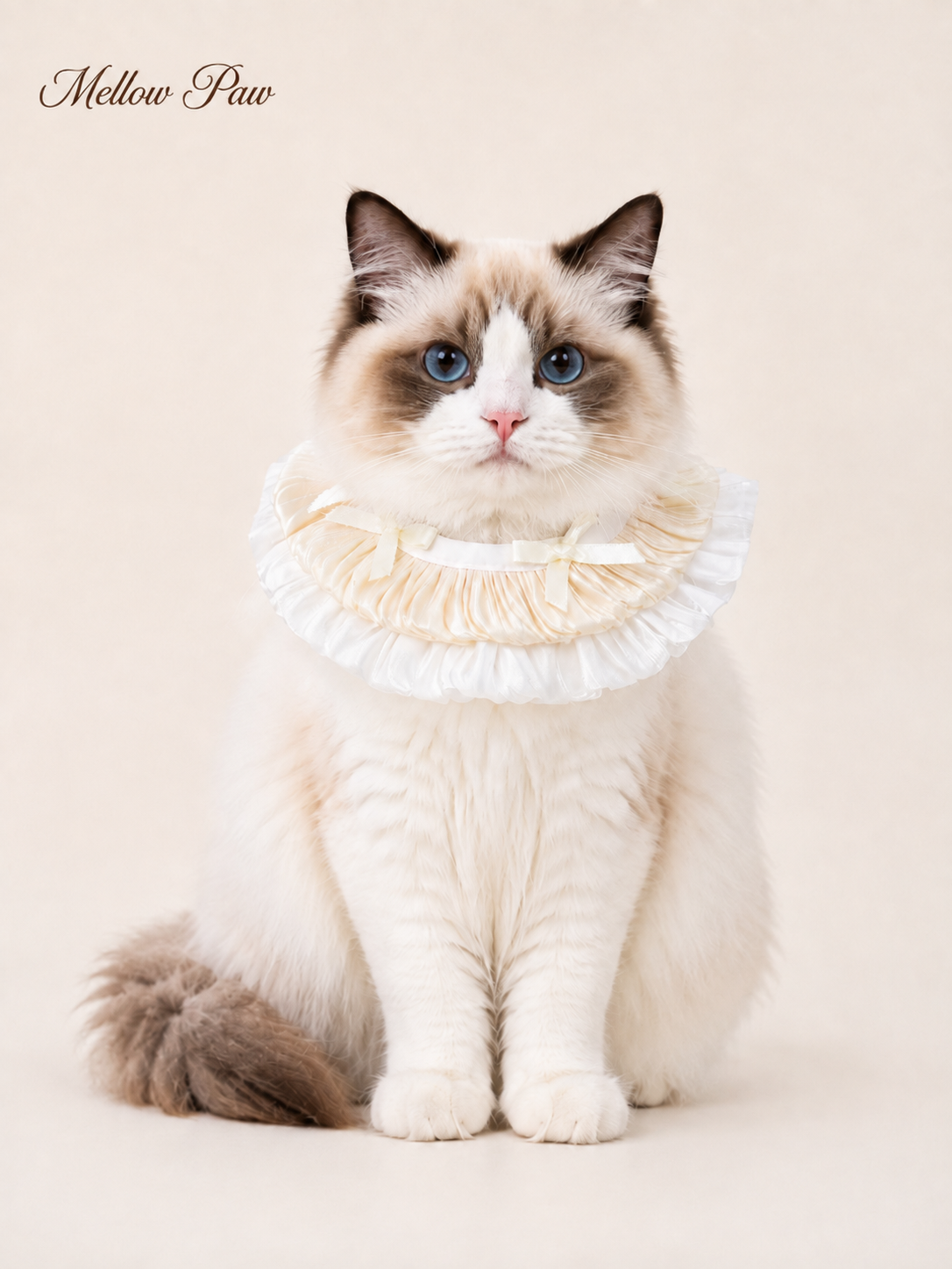 Vanilla Pleated Collar