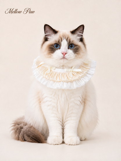 Vanilla Pleated Collar