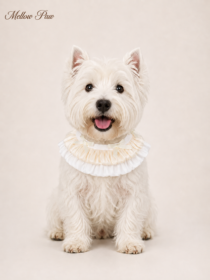 Vanilla Pleated Collar
