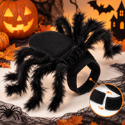 Halloween Black Spider Cat Decorative Harness