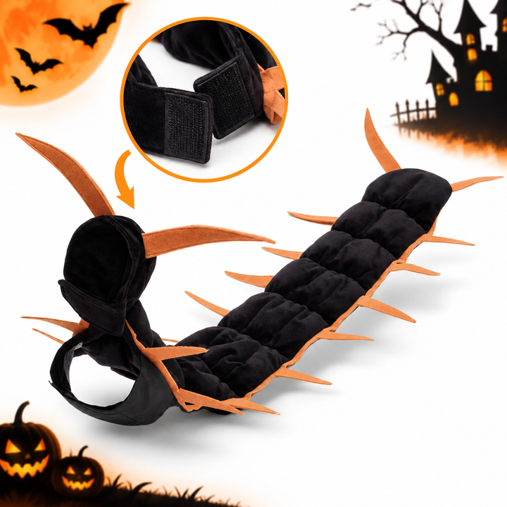 Halloween Insect-Themed Cat Neck Accessory