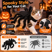 Halloween Black Spider Cat Decorative Harness